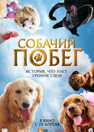 Собачий побег